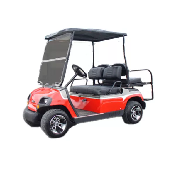 Lithium Batteries for G1-G16 Golf Carts