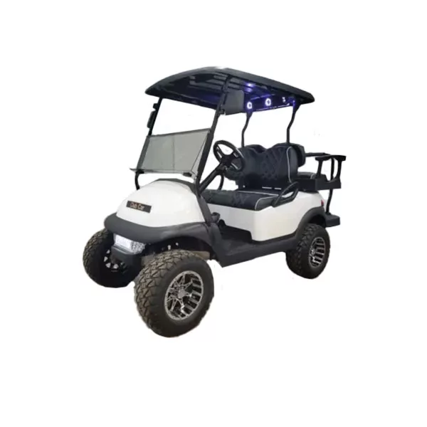 Lithium Batteries for PRECEDENT 2009-NEWER Golf Carts