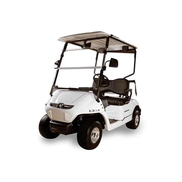 Lithium Batteries for Pilot Car Golf Carts