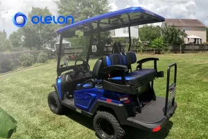 Bintelli golf cart battery