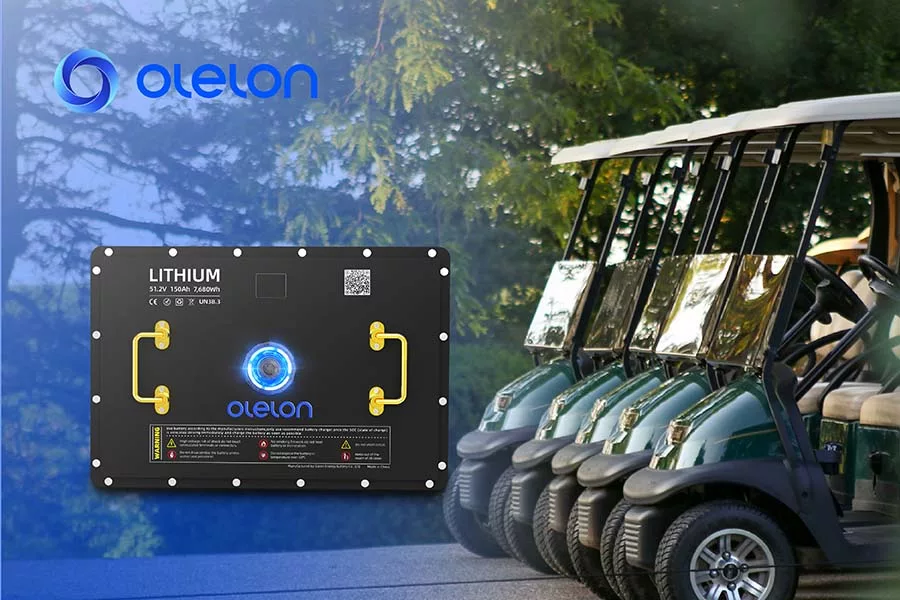 Big Savings on Olelon Batteries Factory Pricing, Pre-Order Benefits, Become Dealer